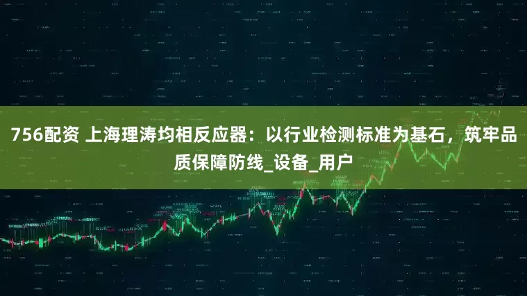756配资 上海理涛均相反应器：以行业检测标准为基石，筑牢品质保障防线_设备_用户